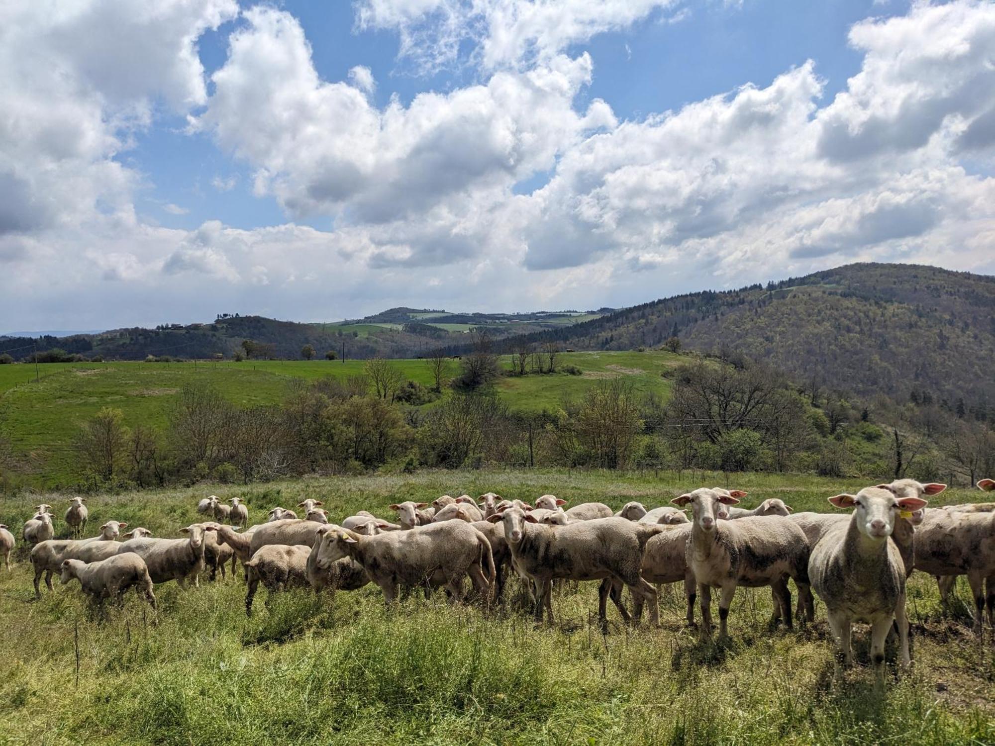 La Grange, Le Hameau Des Volcans - Deconnexion Face A La Vue Saint-Just-pres-Brioude Buitenkant foto